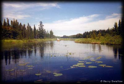 Stream - Quetico