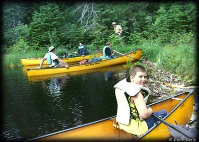 Beaver dam
