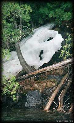Melting snow - Quetico
