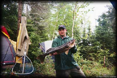 Walleye