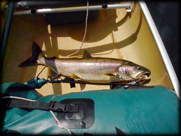 Quetico solo canoe trip &copy;Doug Clark