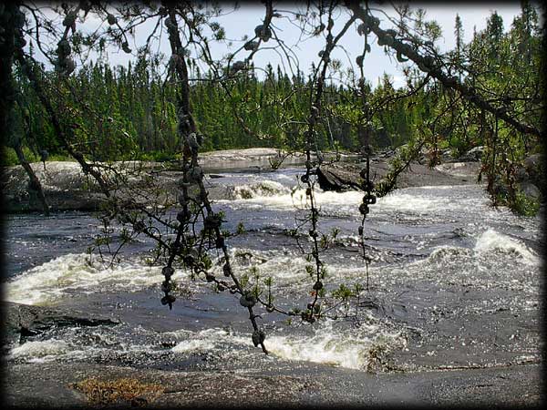 Quetico solo canoe trip &copy;Doug Clark