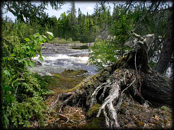 Quetico solo canoe trip &copy;Doug Clark