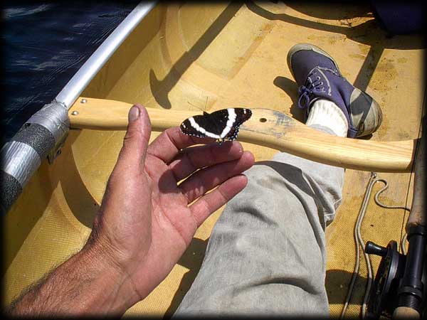 Quetico solo canoe trip &copy;Doug Clark