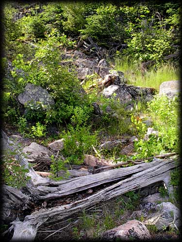 Quetico solo canoe trip &copy;Doug Clark