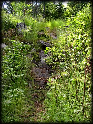Quetico solo canoe trip &copy;Doug Clark