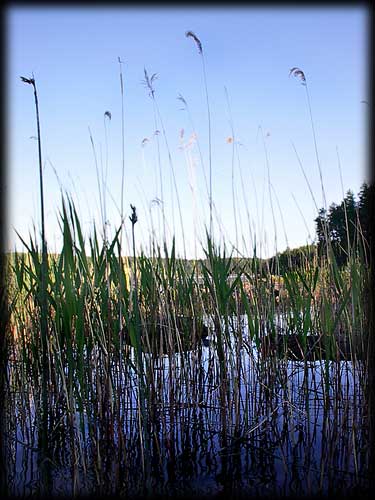 Quetico solo canoe trip &copy;Doug Clark