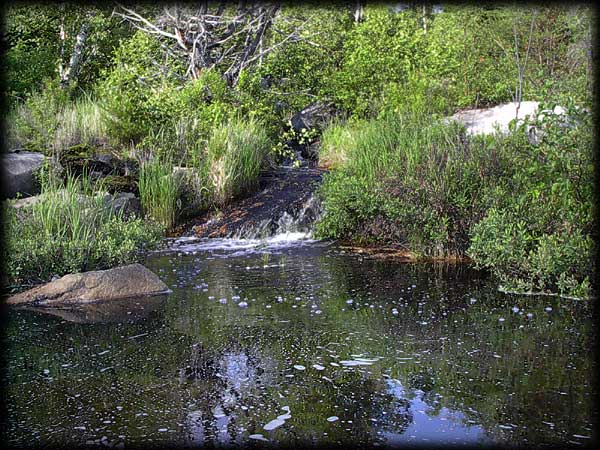 Quetico solo canoe trip &copy;Doug Clark