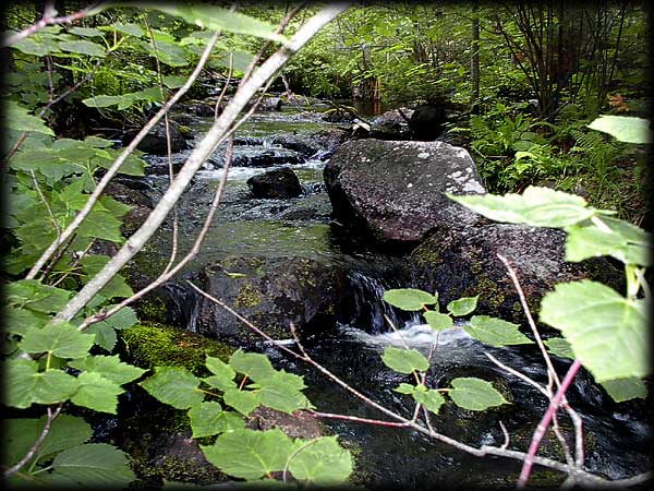 Quetico solo canoe trip &copy;Doug Clark