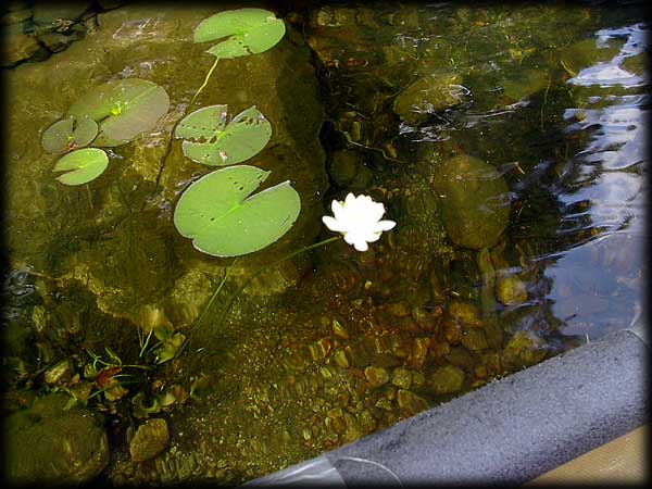 Quetico solo canoe trip &copy;Doug Clark