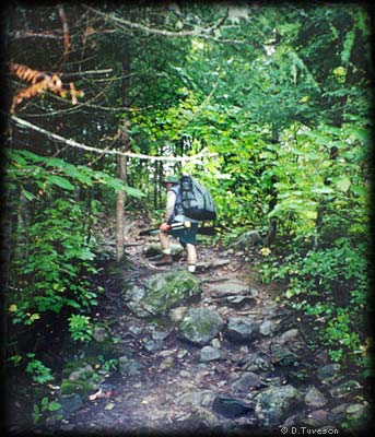 Quetico portage trail