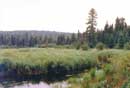 My first glimpse of the Beartrap River on a gloomy August day, 1985.
