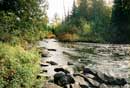 Knife to Carp Oct�2009