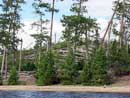 The Pines blowdown