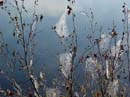 Quetico Lake.