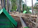 No firewood shortage