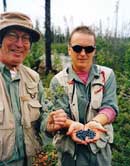 Wabakimi Blueberries