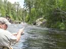 Fishing the falls 15 15
