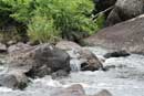 Rapids at portage between pond and Cross River, 6/28/10