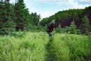 Trant Lake Portage