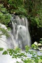 Johnson Falls 6/29/07