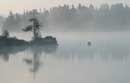 Morning mist, Kelso Lake