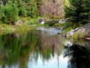 Bearpelt Creek beaver dam