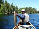 Veron Lake Pike