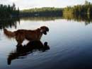 More than one way to catch a fish