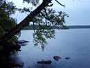 Summer 2008