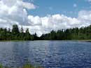 Summer 2008