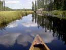 Paddling on the Kelso River