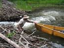 Getting through the Beaver Dam on McIntyre Creek July 2008.  Taken by Shelley Williams.