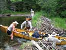 Beaver Dam McIntyre Creek, July 2008 taken by Shelley Williams.