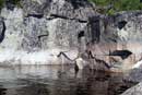 Quetico, July 2010