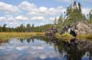 Reflections on Kelso River