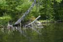 Reflections along East Bearskin Lake, June 2004.