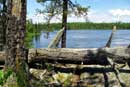 View of Lake One, June 23, 2008