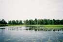 Bentpine Lake