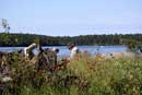Writing a note for the message cache on Silence Lake