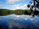 Nature?s mirror