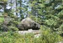 Some say this is a dolmen, Kelso river.