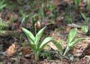 Early spring photo shoot, Brule Bay campsite, June 2, 2013