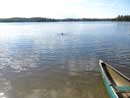 Going for a swim, Kawishiwi Lake, September 9, 2011