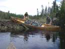 Beaver dam on Ada Creek, 9/9/12