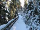 The boardwalk trail along the Pickerel River near the French Lake Visitor's Pavilion.