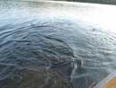 Pickerel Lake, Quetico -Aug 27-Sep 1, 2013