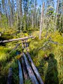 Yeh to Lonely portage. Quetico 2012