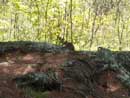 McAree Lake, Quetico June 5-12, 2013