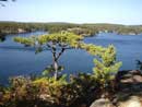 Ted Lake